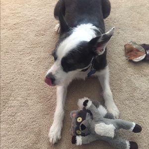 Meet your Posher, Paige